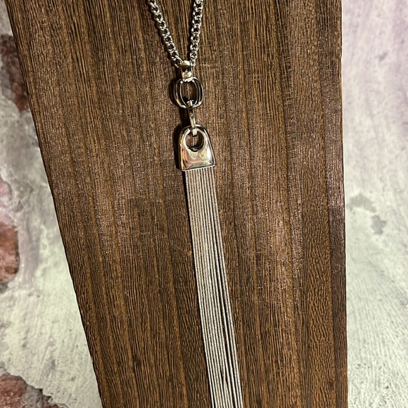 NWT The Limited Long Silver Fringe Tassel Necklace - Picture 3 of 9